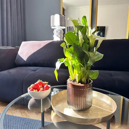 Apartment Main Square Sylvi Krakau